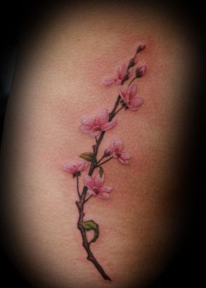 Cherry Blossom Tattoo Picture